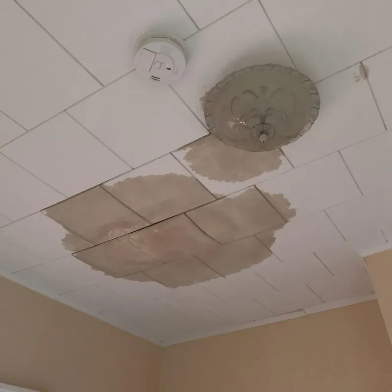 Ceiling Water Damage Repair in Marienville, PA