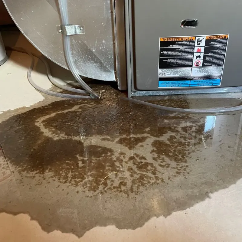 Pipe Burst and Leak Restoration in Marienville, PA